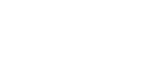 Vice logo